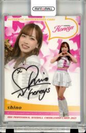 Amazon.co.jp: 2023 BBM チアリーダー 舞 HONOKA ほのか チア