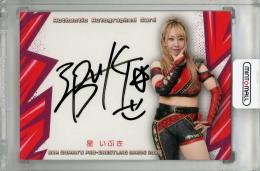 2025 BBM 女子プロレスカード 星いぶき 直筆サインカード【030/100】