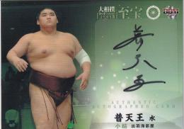 2015 BBM 大相撲LEGEND 至宝  普天王水 直筆サインカード 25/60