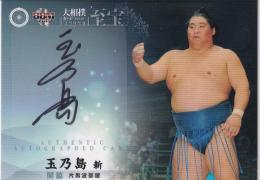 2015 BBM 大相撲LEGEND 至宝  玉乃島新 直筆サインカード 45/60