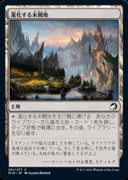 【MID】【JPN】《進化する未開地/Evolving Wilds》