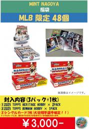 ミント名古屋オリジナル MLB お楽しみ袋 3000