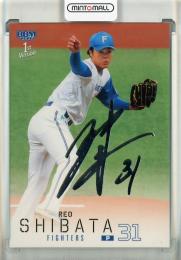2026 BBM 1st Version 柴田獅子 銀箔サイン 北海道日本ハムファイターズ