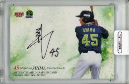 2022 BBM 東京ヤクルトスワローズ 嶋基宏 直筆サインカード【30/89】