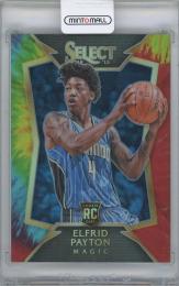 2014-15 PANINI Select Prizms Tie Dye #86 / ELFRID PAYTON(Orlando Magic) 【02/25】