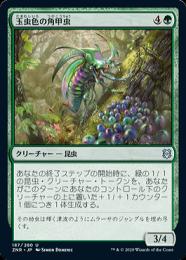 ミントモール / MINT GAMES MTG(東日本橋) / 【J22】【JPN