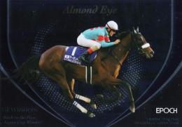 2019 エポック ホースレーシング 2018 Vol.2 アーモンドアイ Back to the Past "ジャパンカップ優勝馬" 60枚限定 /30