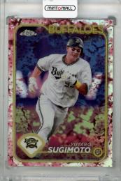 2024 Topps Chrome NPB 杉本裕太郎 Cherry Blossoms Refractors【09/15】 オリックス・バファローズ