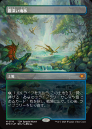 【SPG】【ENG】【ドラゴンスケイルFoil】《霧深い雨林/Misty Rainforest》