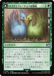 ◆予約◆【FIN】【JPN】《サブクエスト:チョコボ育成/Sidequest: Raise a Chocobo》