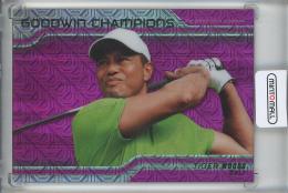 2023 Upper Deck Goodwin Champions Tiger Woods Platinum-Horizontal/Pink Traxx Parallels/#P52【015/299】