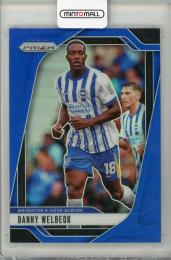 2024-25 PANINI PRIZM Danny Welbeck 【206/299】 Brighton & Hove Albion