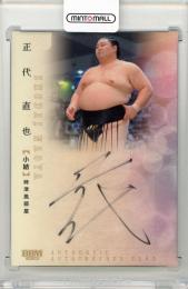 2025 BBM 大相撲カード 正代直也 直筆サインカード【36/56】 【小結】時津風部屋