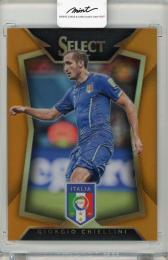 2015-16 PANINI SELECT  Giorgio Chiellini #48【069/149】 ITALIA