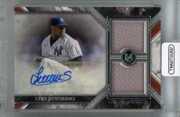 2022 Topps Museum Collection Luis Severino Single-Player Signature Swatches Dual Relic Autographs #SWDRA-LS【182/299】 New York Yankees