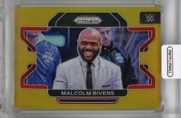 2022 Panini Prizm WWE  Malcolm Bivens Gold #85 04/10