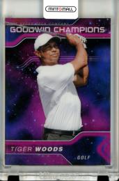 2023 Upper Deck Goodwin Champions Tiger Woods Platinum Cosmic Parallel【055/199】