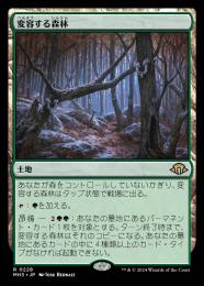 MTG 変容する森林 モダンホライゾン3 日 4枚セット ミントモール / MINT GAMES MTG(東日本橋) / 【MH3】【ENG