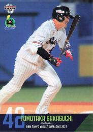 2021 BBM 東京ヤクルトスワローズ #S66 坂口智隆 レギュラーカード