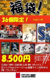 お値下げしました!!【プロ野球ブーストボックスセット】2024 TOPPS NPBプロ野球 STADIUM CLUB 1BOX + ブーストパック1個(2枚入、シリアルorジャージーorサイン確定!)