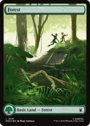 【MSH】【ENG】【サージ・Foil】〈441-C-L〉《森/Forest》