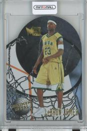 2013-14 Fleer Retro Basketball LeBron James 95-96 Maximum Metal/#17