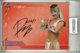 2016 BBM 女子プロレス True Heart  Ray 直筆サインカード 32/84