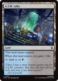 ◆予約◆【MSH】【ENG】【Foil】〈257-C-L〉《A.I.M.の研究所/A.I.M. Labs》