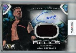 2024 Upper Deck Black Diamond AEW Adam Copeland Autographed Diamond Mine Relics #DMARR【2/99】《※表面ダメージアリ》