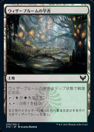 【STX】【JPN】《ウィザーブルームの学舎/Witherbloom Campus》