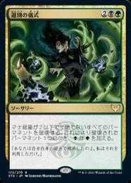 選別の儀式 Culling Ritual/プロモfoil D ミントモール / MINT GAMES MTG(東日本橋) / 【STX】【JPN