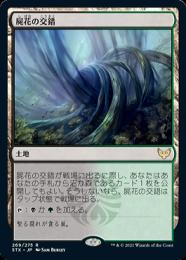 【STX】【JPN】《屍花の交錯/Necroblossom Snarl》