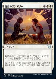 【STX】【JPN】《秘密のランデブー/Secret Rendezvous》