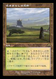 【MH3】【JPN】【Foil】《吹きさらしの荒野/Windswept Heath》旧枠版