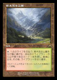 ミントモール / MINT GAMES MTG店 / 【MH3】【JPN】《樹木茂る山麓/Wooded Foothills》ボーダーレス版