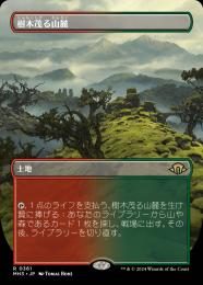 【MH3】【JPN】【Foil】《樹木茂る山麓/Wooded Foothills》ボーダーレス版