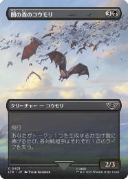 マジックザギャザリング原画 作者ウナフリッカー 作品名『ダクムーアのコウモリ』 ダクムーアの女魔術師｜カードギャラリー｜マジック：ザ・ギャザリング マジック：ザ・ギャザリング
