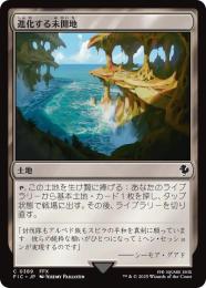【FIC】【JPN】【サージ・Foil】〈389-C-L〉《進化する未開地/Evolving Wilds》