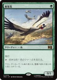 MTG 旧枠 foil 4枚セット 極楽鳥 RVR 日本語 ミントモール / MINT GAMES MTG(東日本橋) / 【RVR】【ENG】【Foil