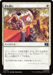ミントモール / MINT GAMES MTG(東日本橋) / 【STA】【JPN】【Foil