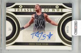 2024 PANINI National Treasures WWE Rob Van Dam Treasures of WWE Signatures #45【12/99】 WWE
