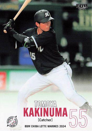 ミントモール / MINT BASE店 (TCシングル通販) / 2024 BBM 千葉ロッテ