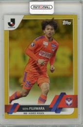 2023 TOPPS  藤原奏哉 【33/50】 アルビレックス新潟