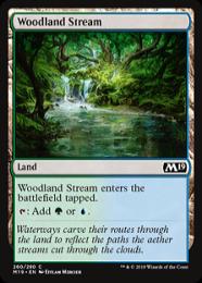 【M19】【ENG】《森林地の小川/Woodland Stream》