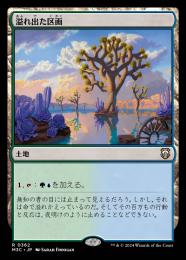 【M3C】【JPN】《溢れ出た区画/Overflowing Basin》