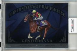 EPOCH ホースレーシング 2024 下半期総集編 ジェンティルドンナ The History of Racehorse【32/50】