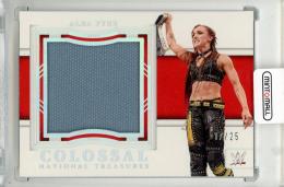 2024 PANINI National Treasures WWE Alba Fyre Colossal Mat Materials Holo Silver #12【17/25】
