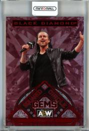 2024 Upper Deck Black Diamond AEW Adam Cole Squared Circle Gems Red #SCG4【12/25】