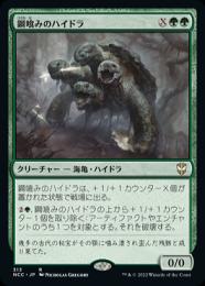 【NCC】【JPN】《鋼喰みのハイドラ/Steelbane Hydra》