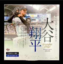 2018 BBM ベースボールカードセット 大谷翔平 Grateful Days レギュラーカード 19枚セット  (MSV#2416)